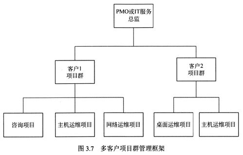 第3章 信息技术服务知识 技术服务