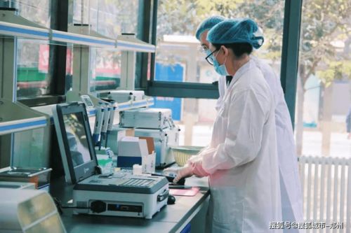 校园食品安全内控专家技术服务 守护师生饮食健康