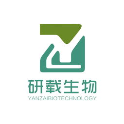技术服务 企业数字化转型与持续发展的核心引擎
