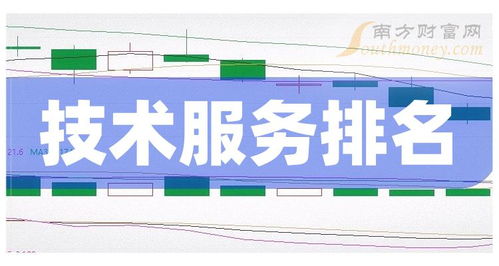 2024年1月26日技术服务上市公司成交量前十排名分析